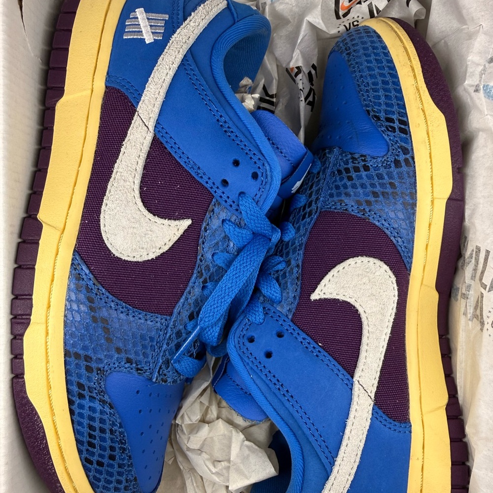 Nike Dunk vs AF #5